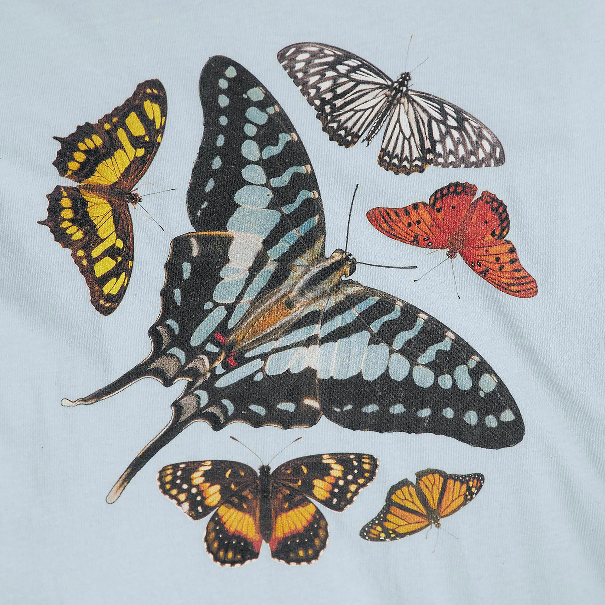 National Geographic x Parks Project Butterflies Specimens Long Sleeve T-Shirt product image