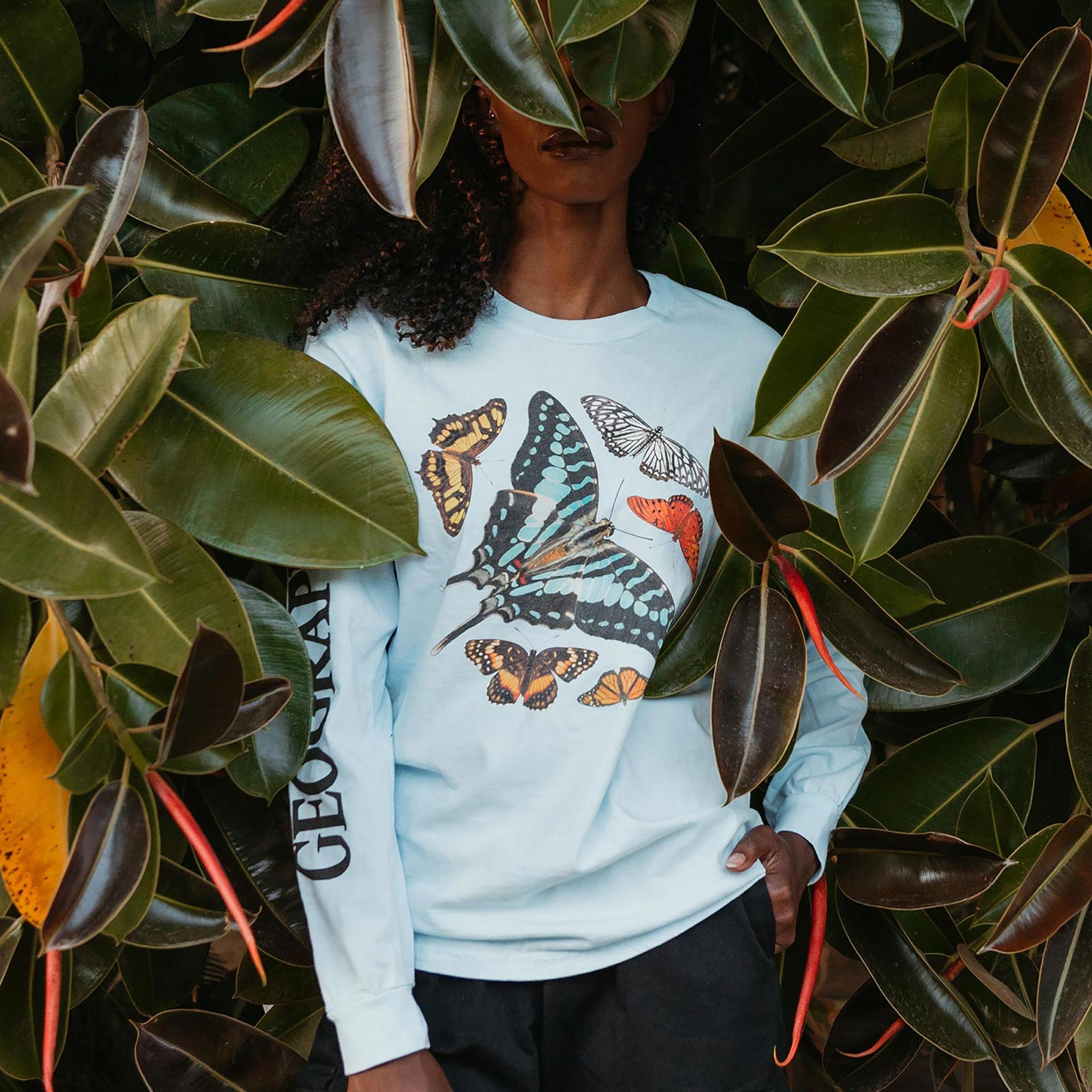 National Geographic x Parks Project Butterflies Specimens Long Sleeve T-Shirt product image