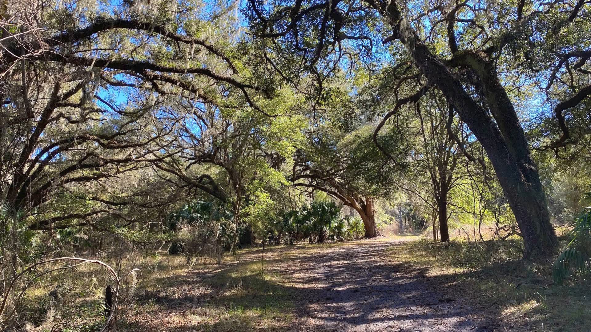 Nishiki Men's Pueblo 26" Mountain Bike product