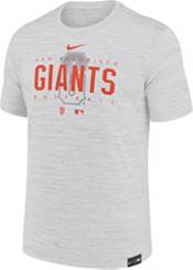 Nike Men's Gray San Francisco Giants Authentic Collection City