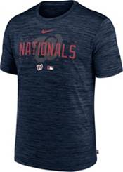 Nike Men's Navy Washington Nationals Alternate Authentic Team