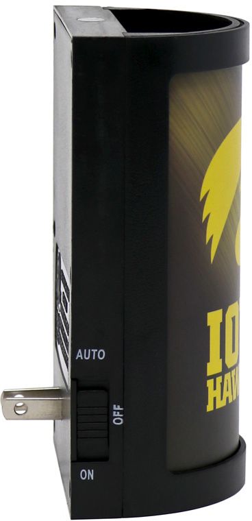 Party Animal Iowa Hawkeyes Night Light product image