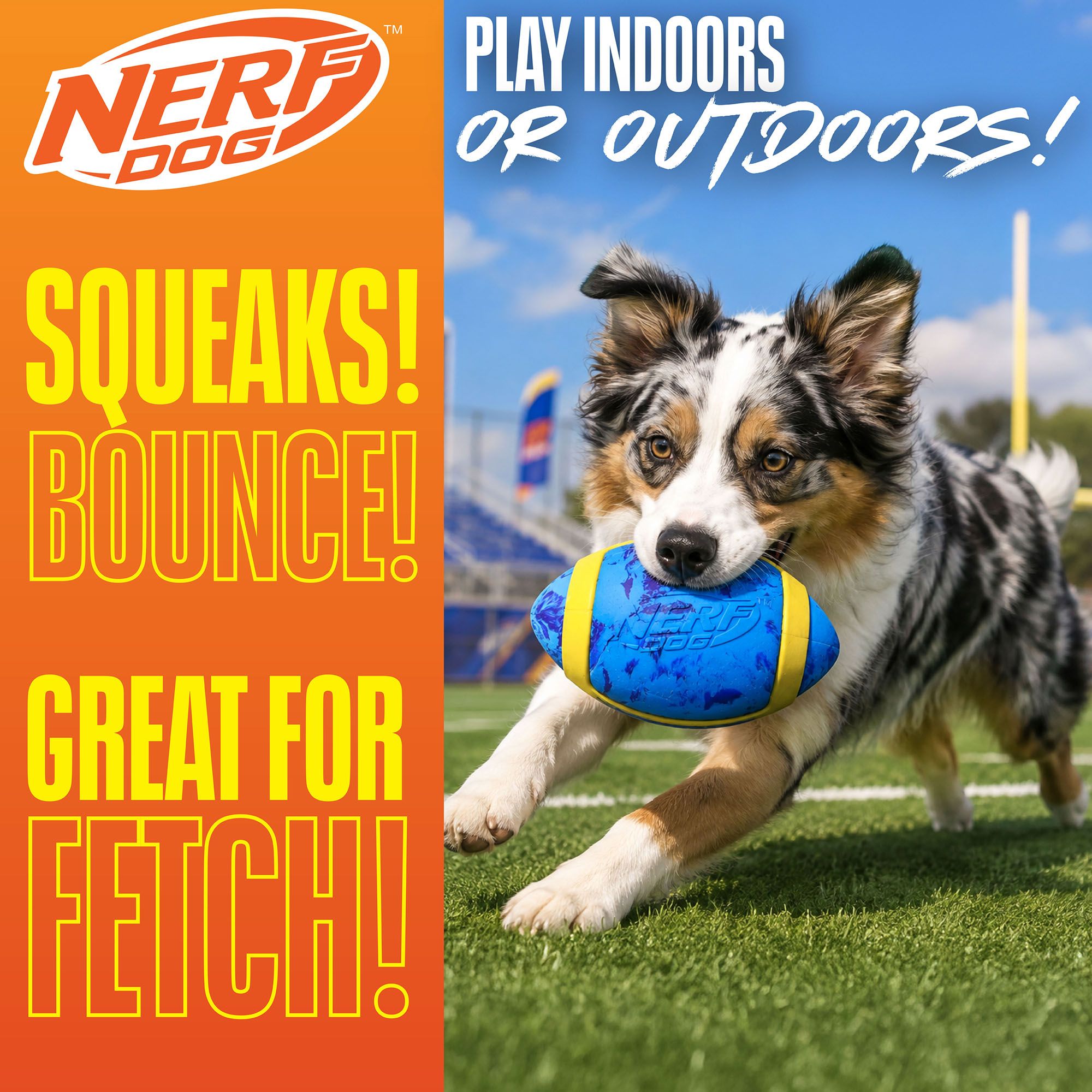 Nerf Dog 6.5 in. Marble Football product image
