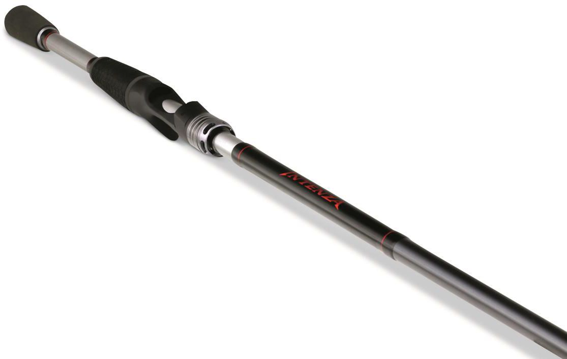 Shimano Intenza Casting Rod product image
