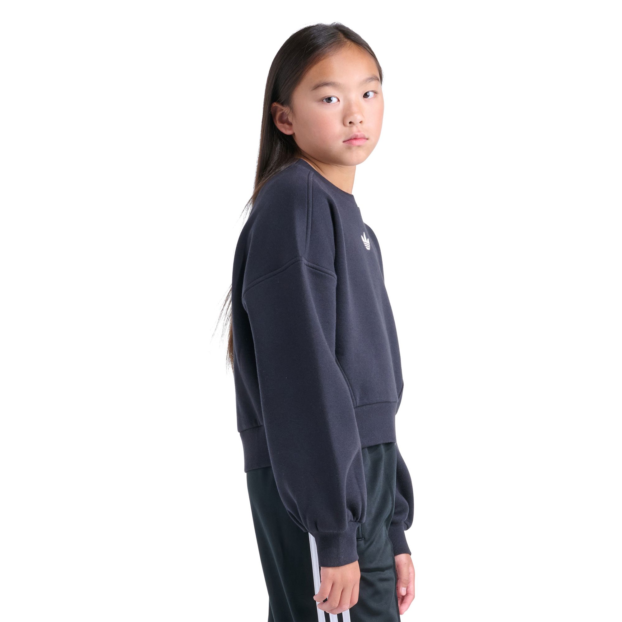 adidas Girls' Small Logo Fleece Crewneck Sweatshirt product image