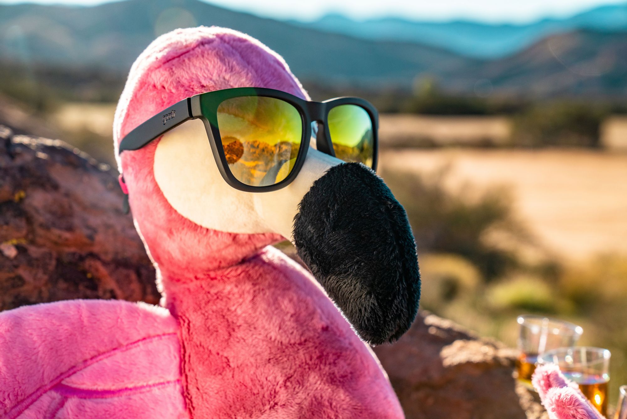 goodr The OG Polarized Sunglasses product image