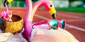Goodr Flamingos On A Booze Cruise Sunglasses product image