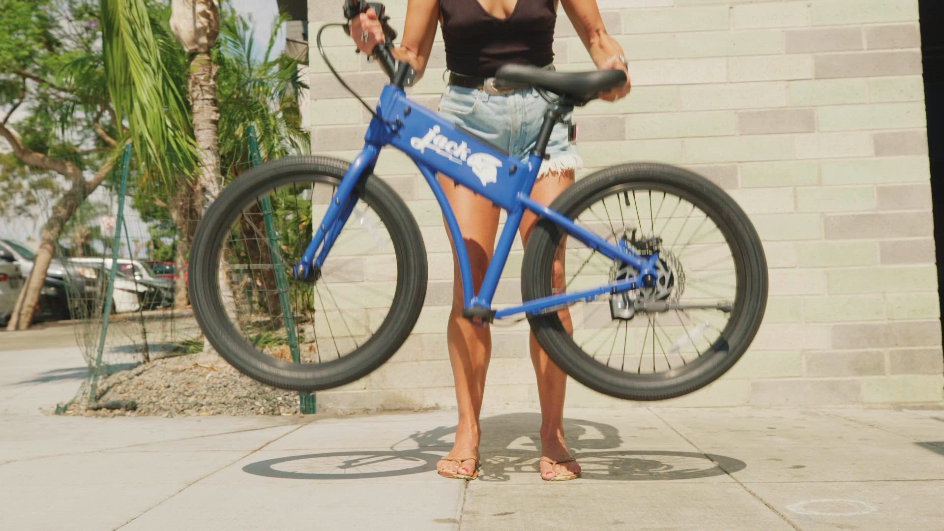 JackRabbit OG2 Micro Electric Bike product
