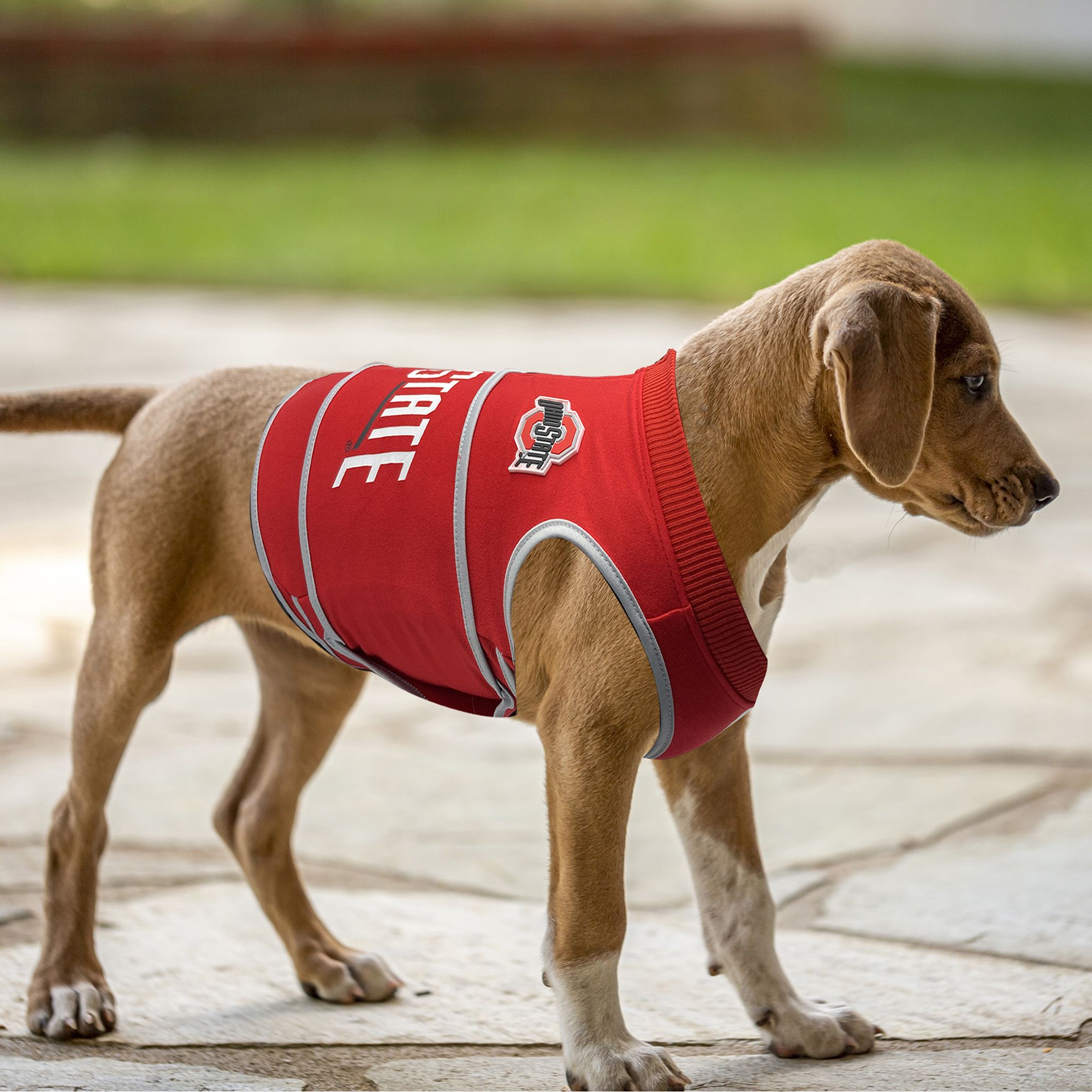 Pets First Ohio State Buckeyes Soothing Solution Vest product image