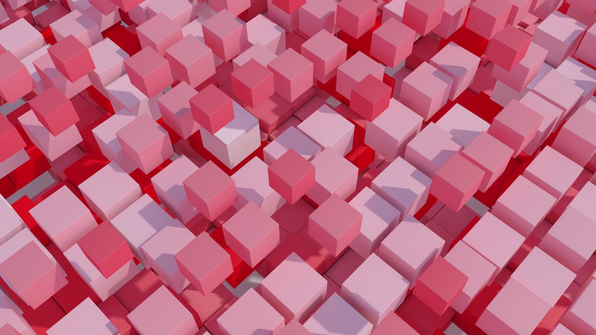 OKAI Neon Lite ES10 Electric Kick Scooter product