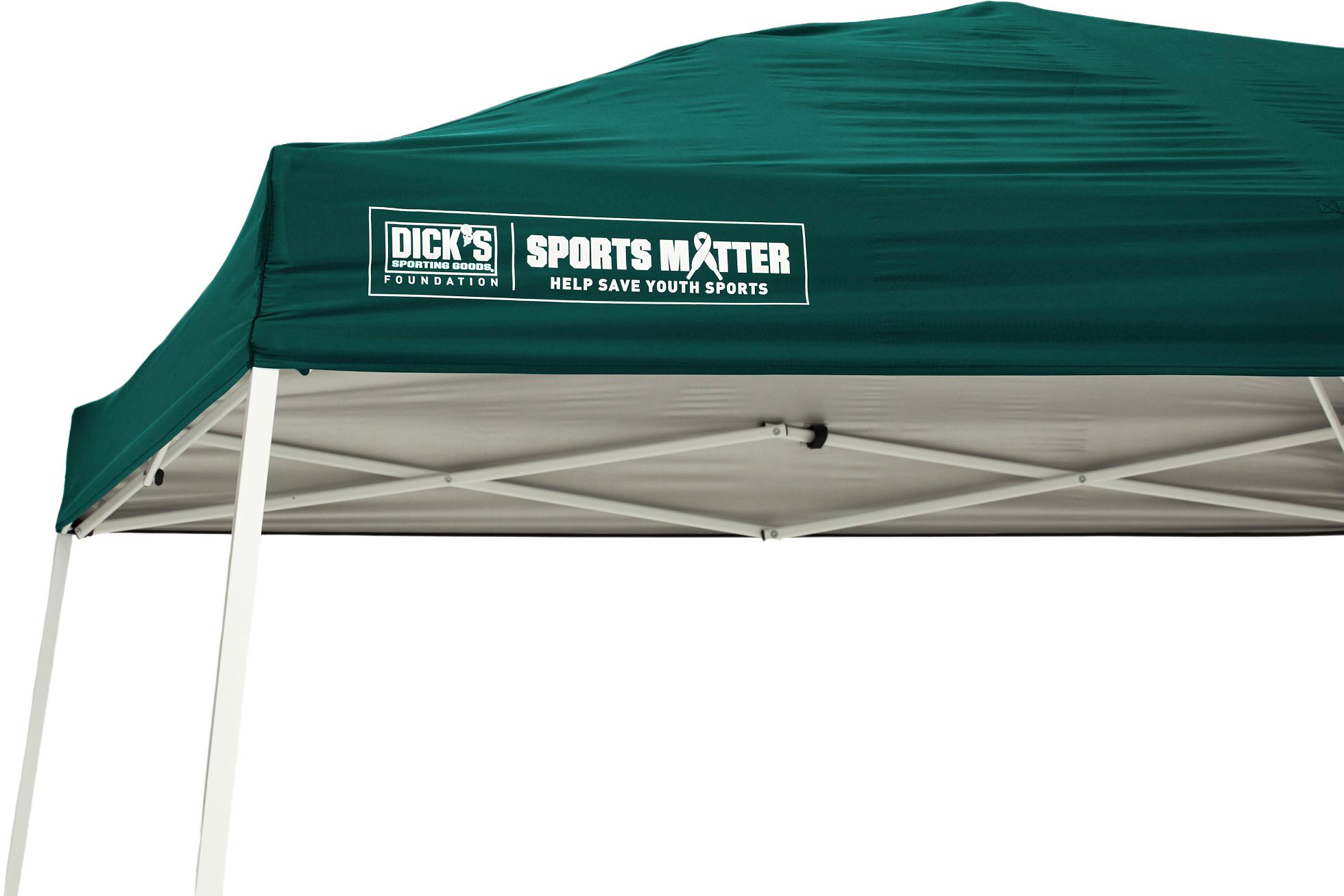 DSG 10' x 10' Slant Leg Canopy product image