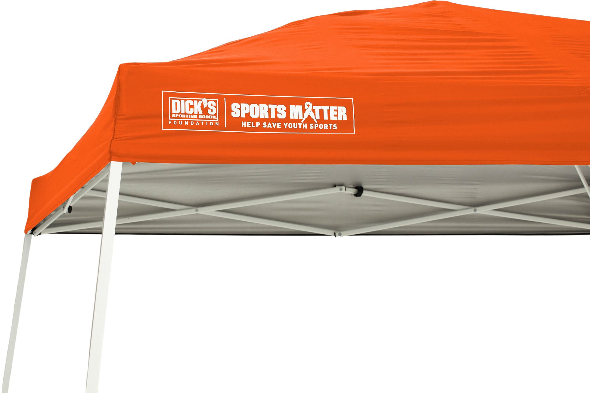 DSG 10' x 10' Slant Leg Canopy product image