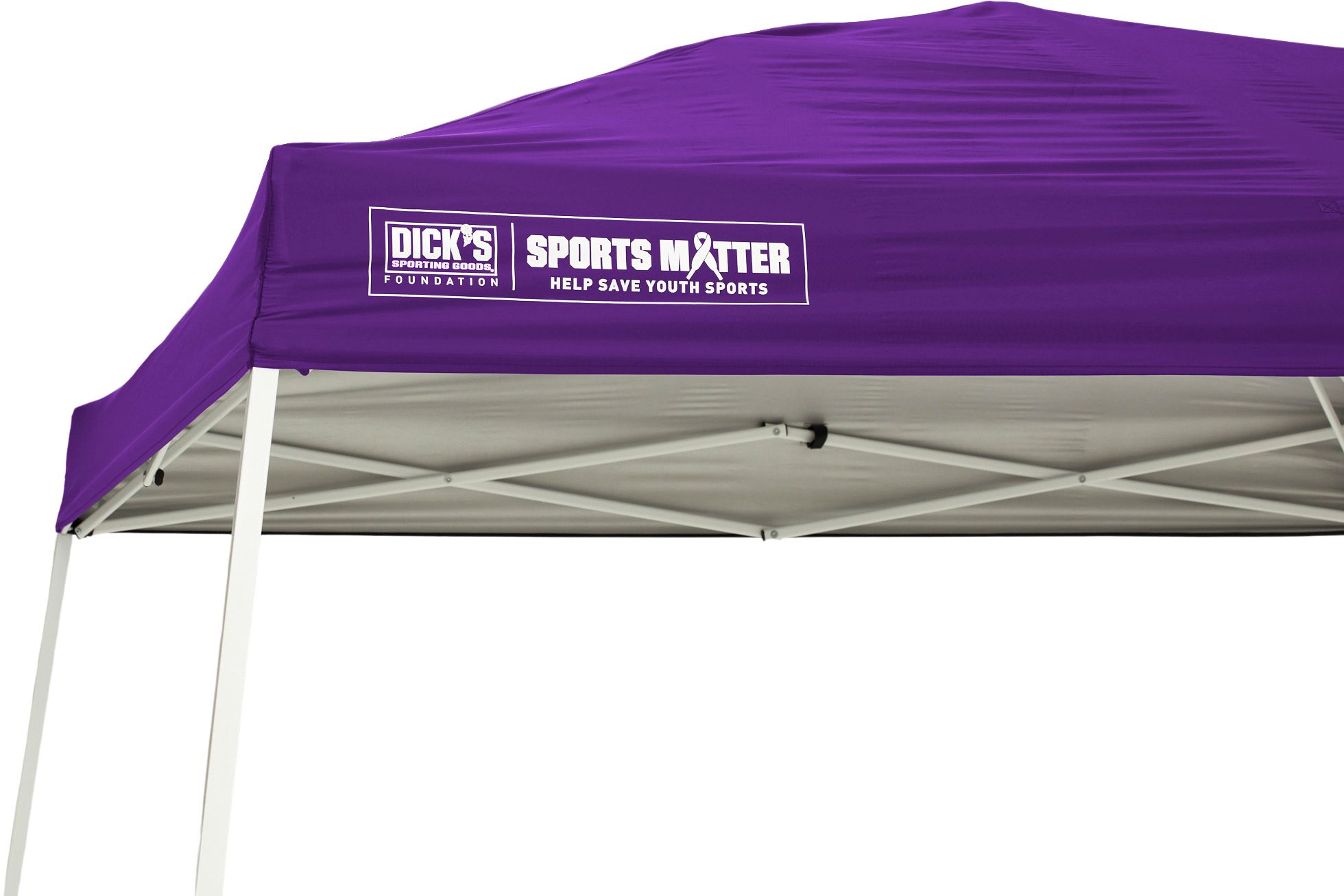 DSG 10' x 10' Slant Leg Canopy product image