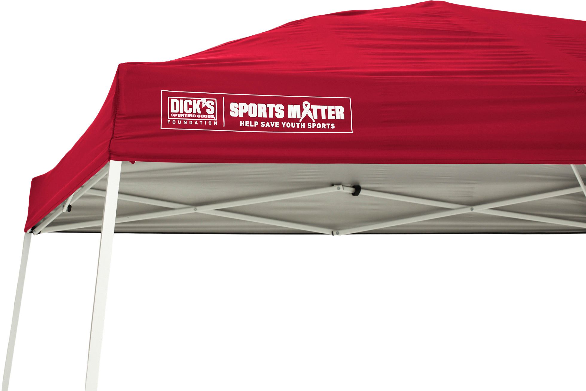 DSG 10' x 10' Slant Leg Canopy product image
