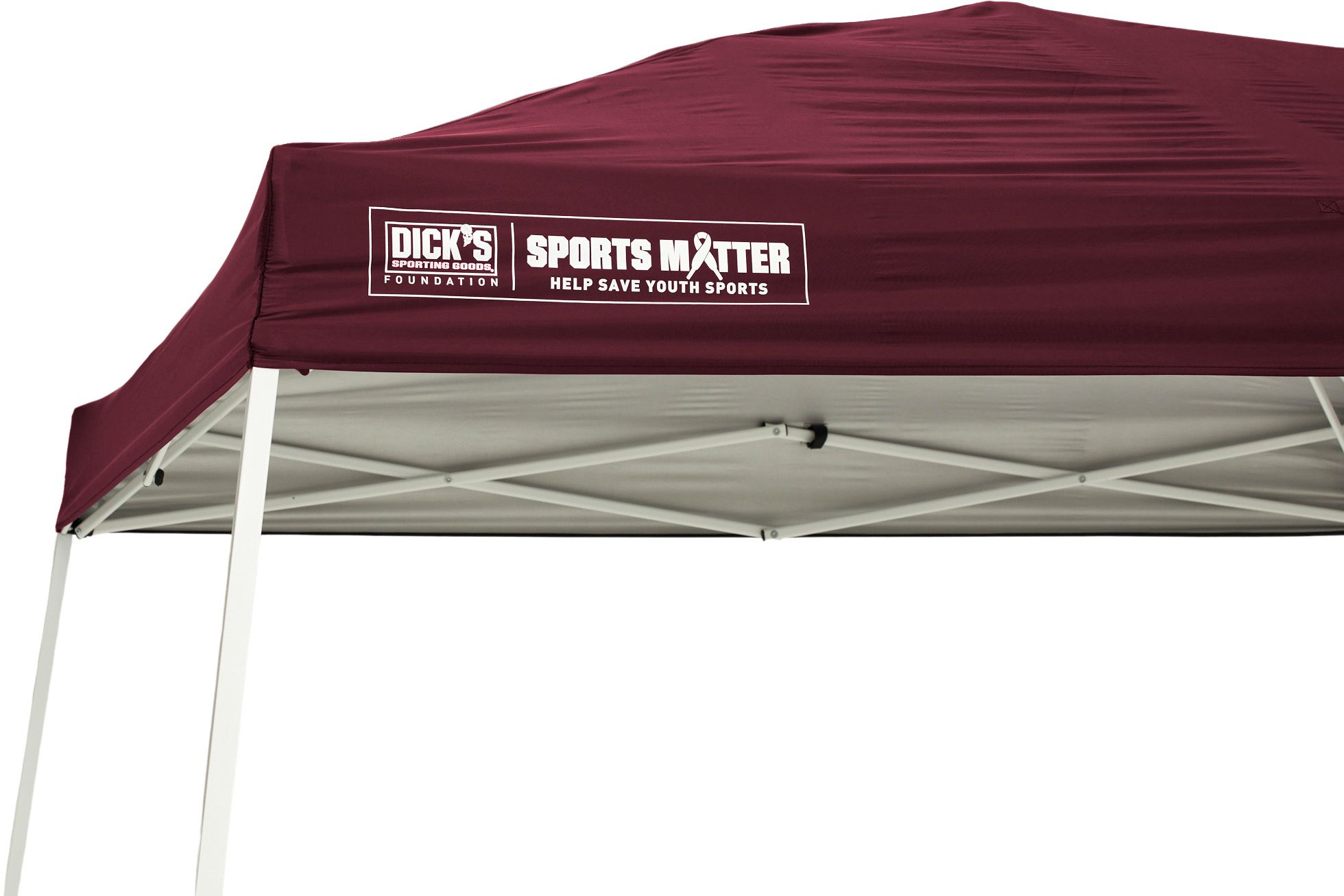 DSG 10' x 10' Slant Leg Canopy product image