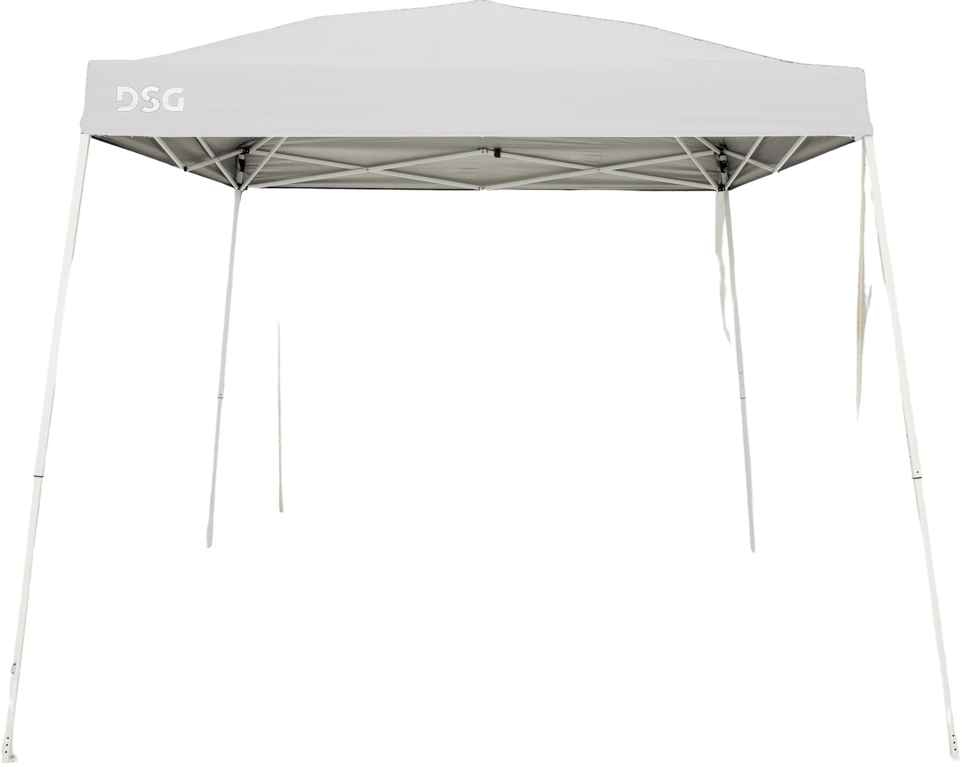 DSG 10' x 10' Slant Leg Canopy product image