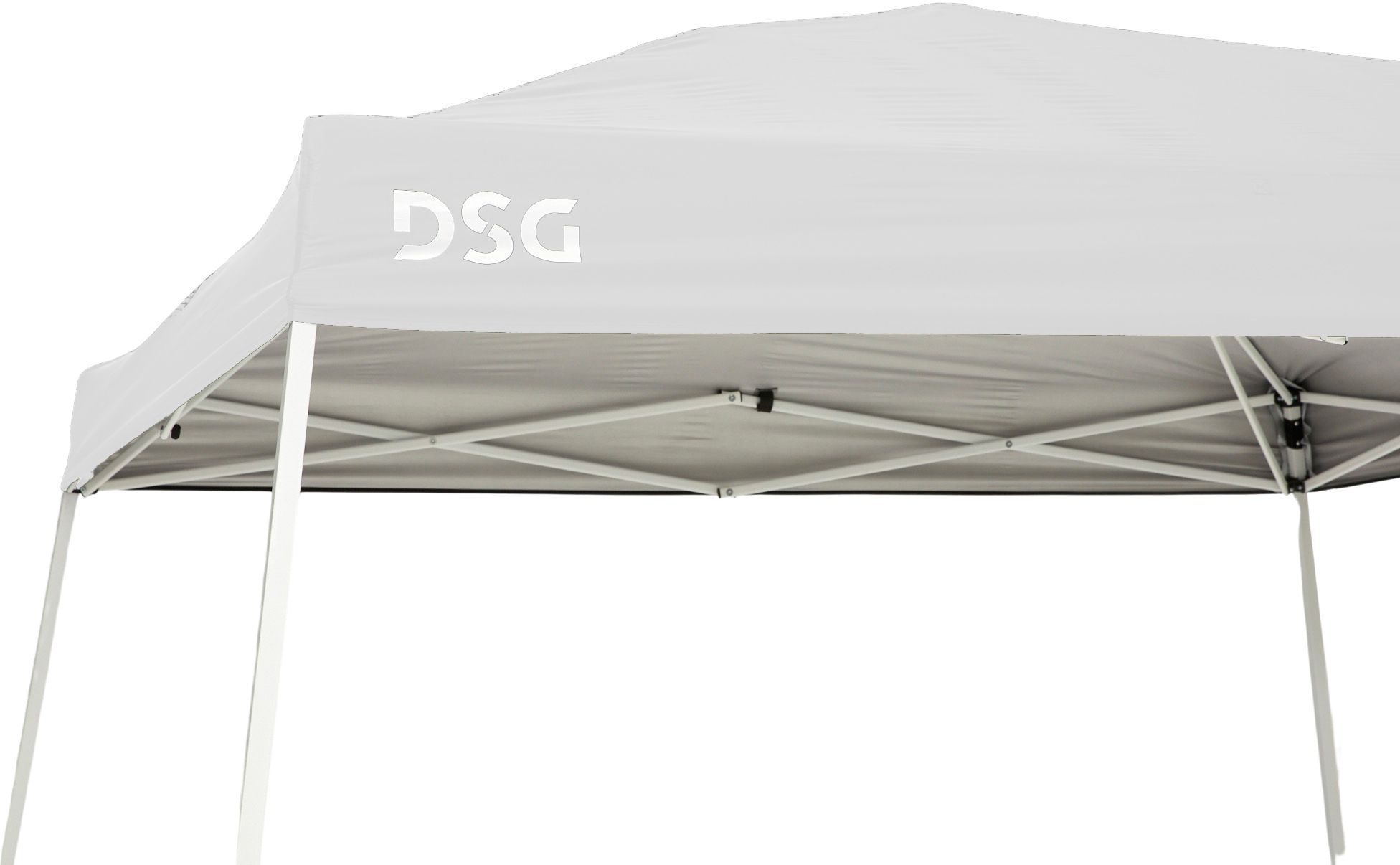 DSG 10' x 10' Slant Leg Canopy product image