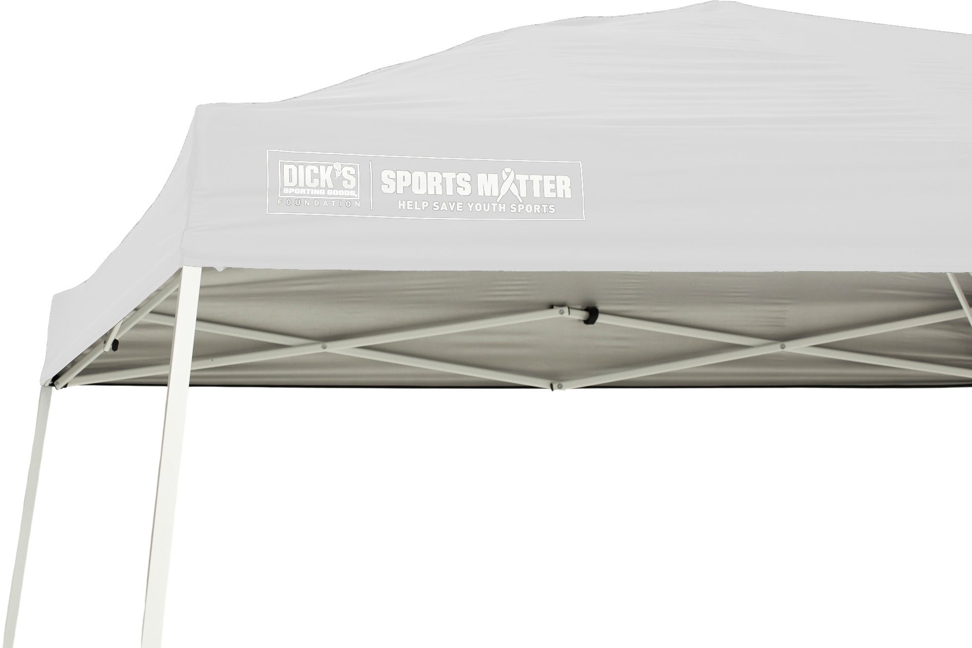 DSG 10' x 10' Slant Leg Canopy product image