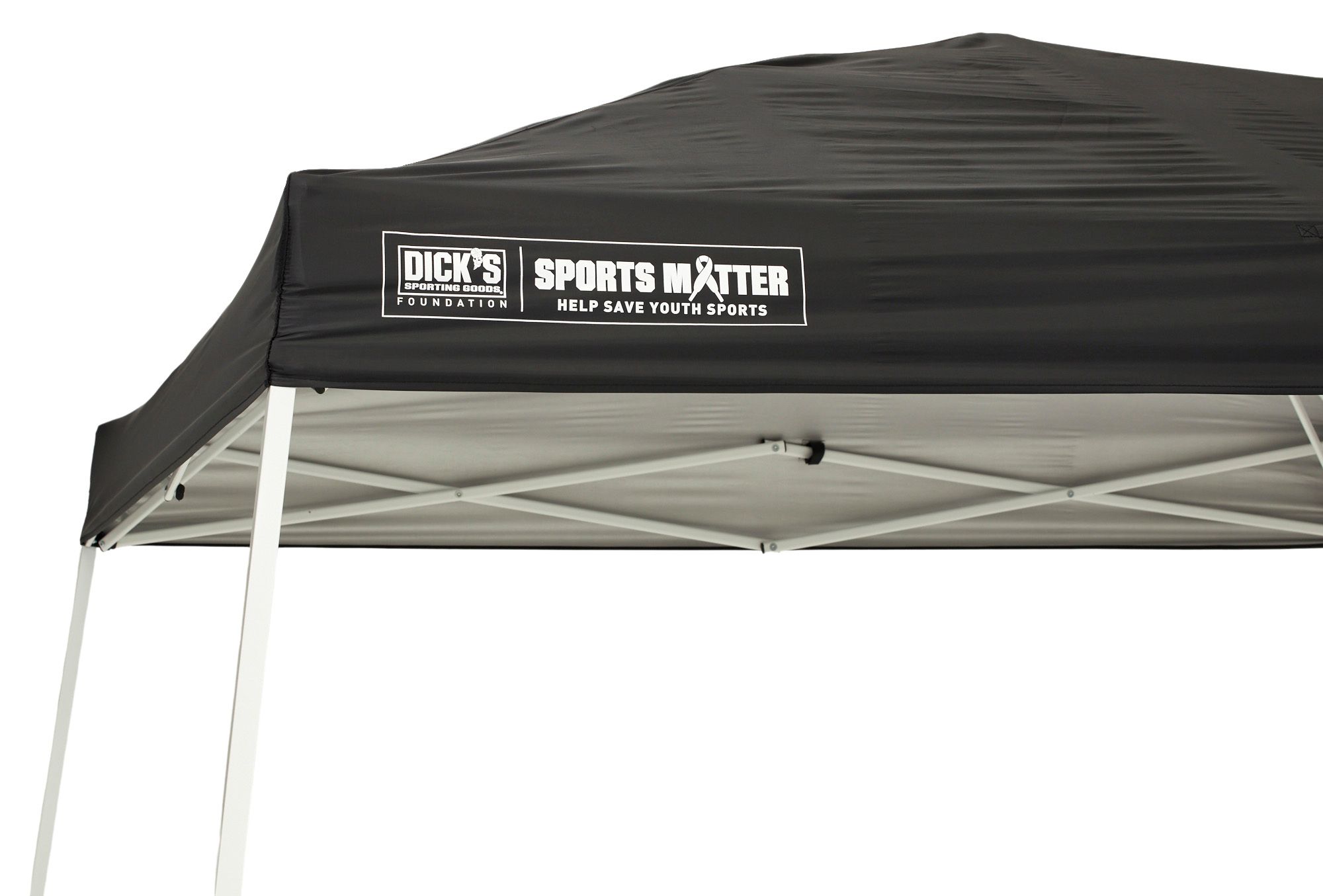DSG 10' x 10' Slant Leg Canopy product image