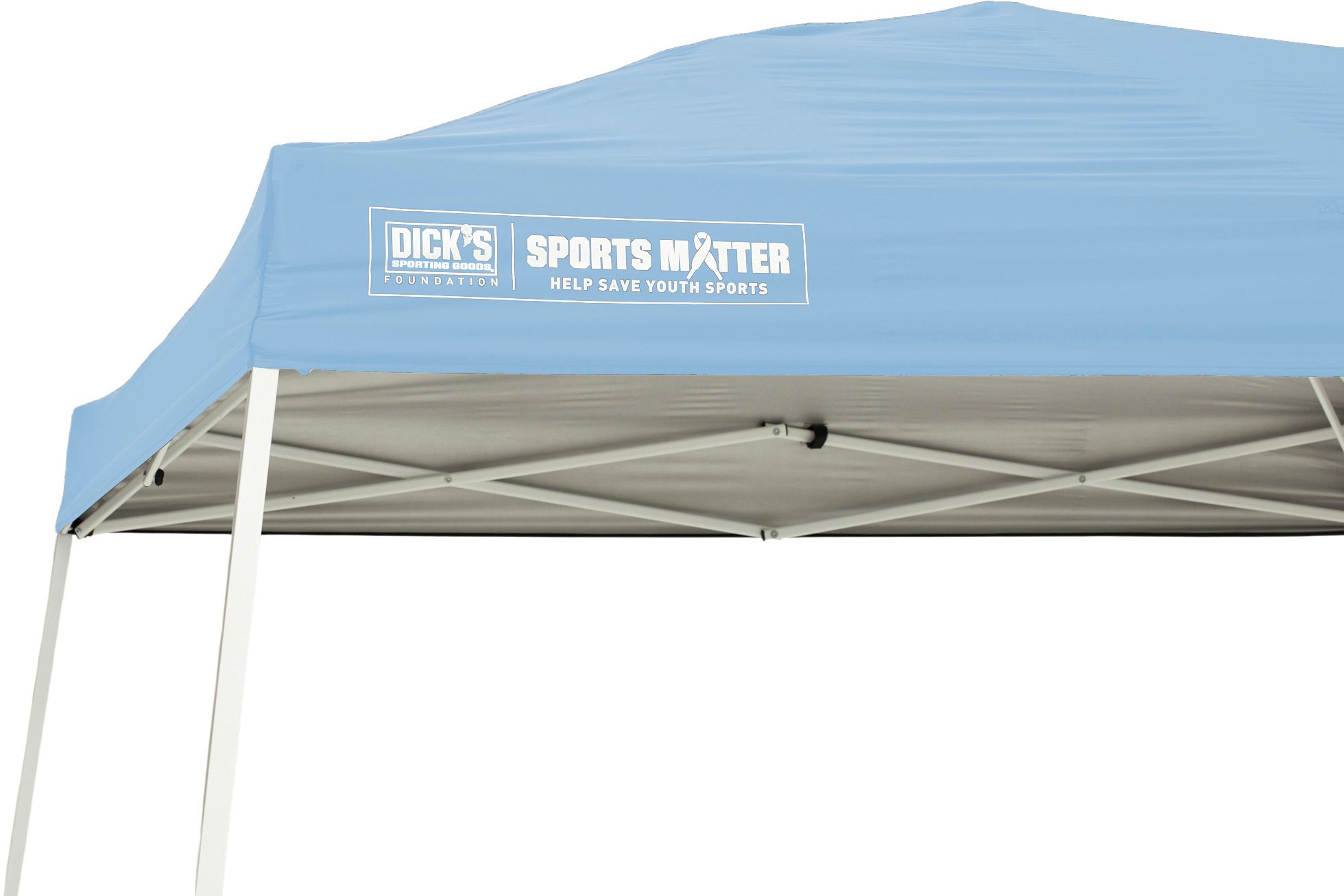 DSG 10' x 10' Slant Leg Canopy product image