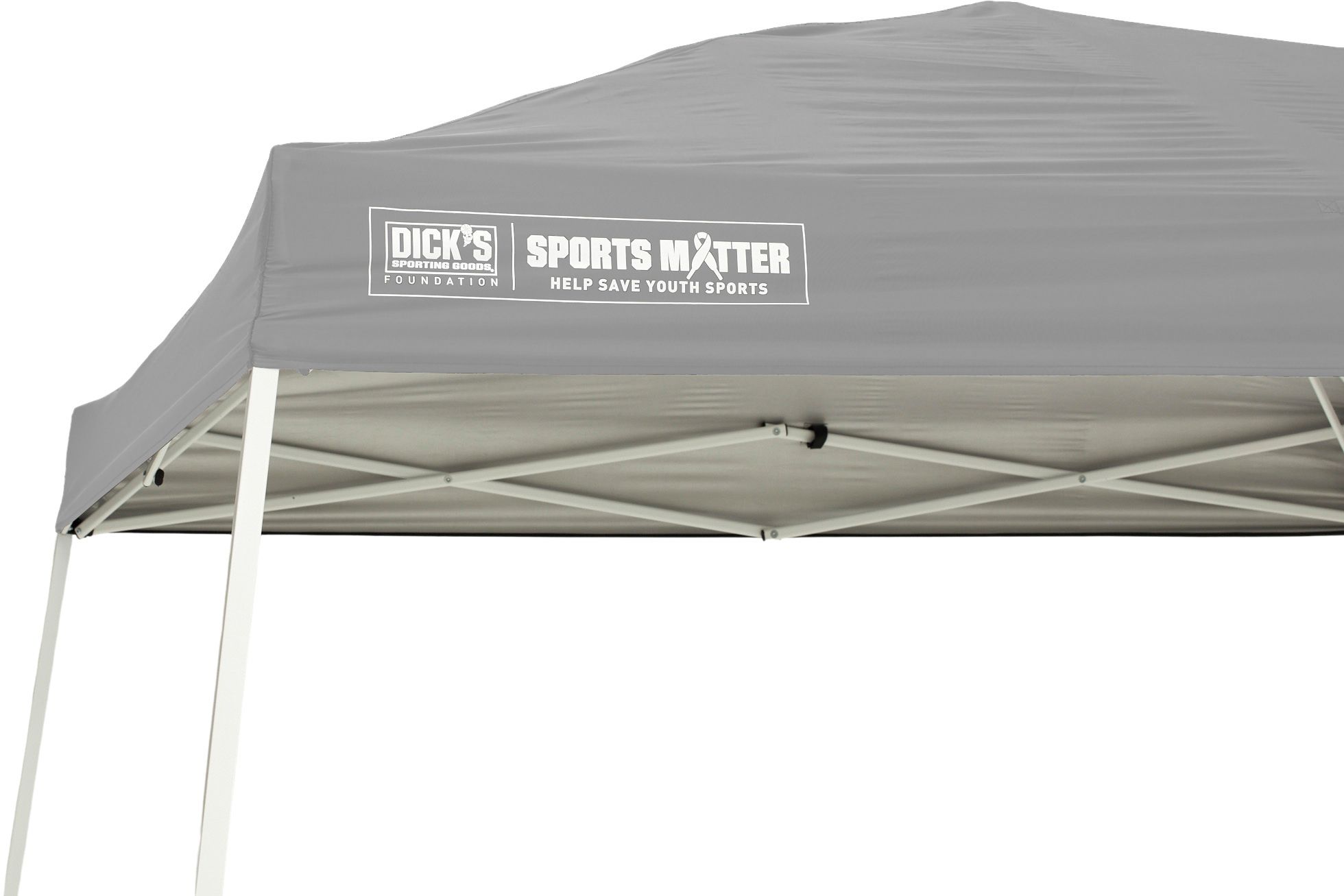 DSG 10' x 10' Slant Leg Canopy product image