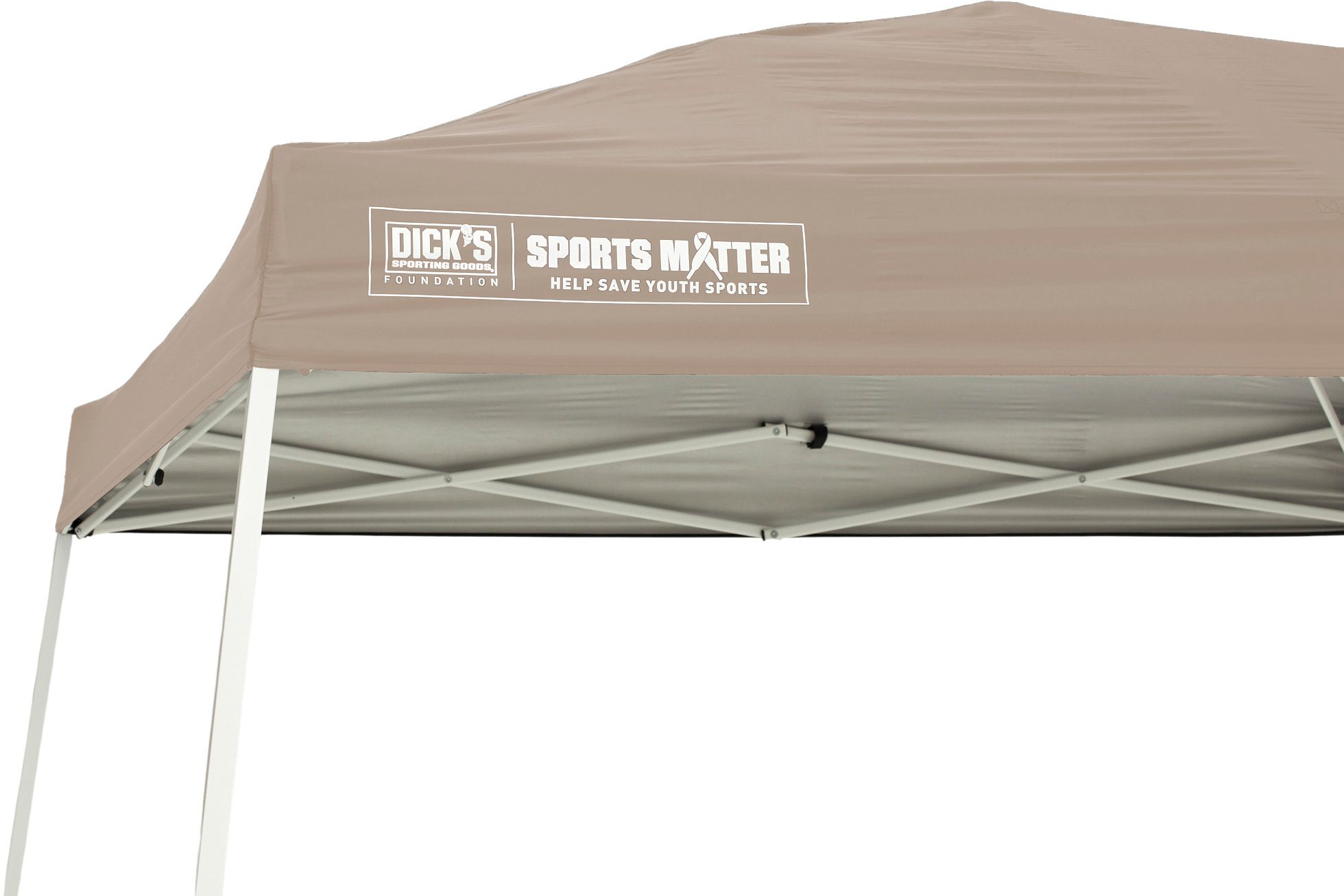 DSG 10' x 10' Slant Leg Canopy product image