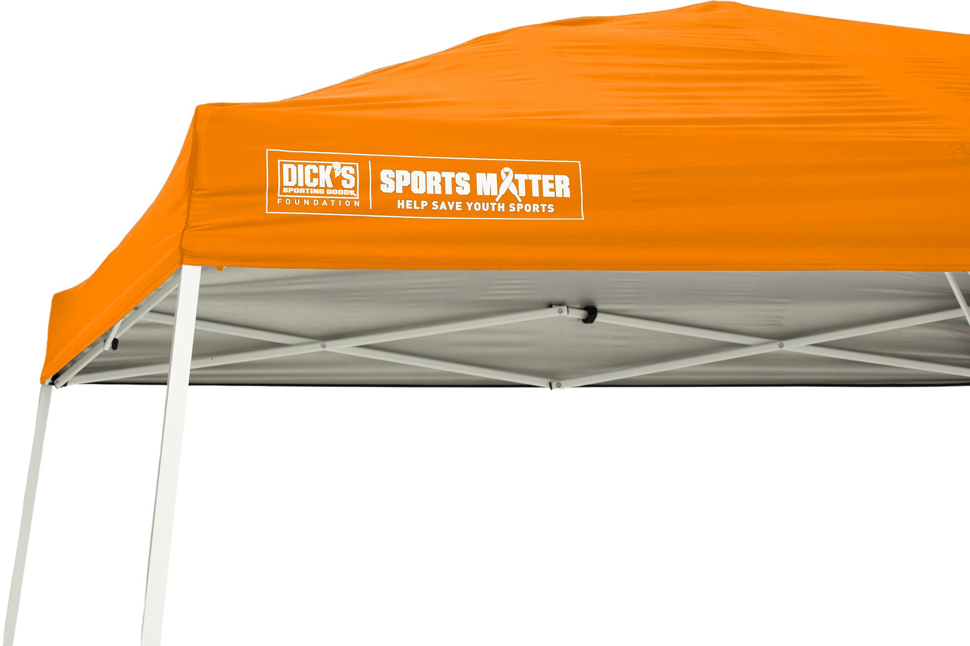 DSG 10' x 10' Slant Leg Canopy product image