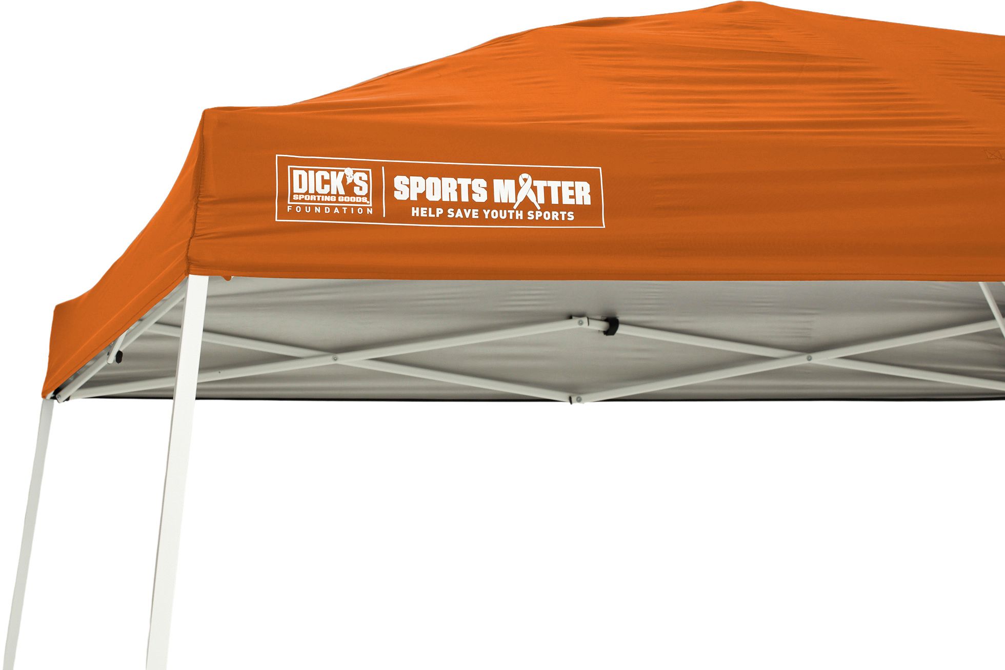 DSG 10' x 10' Slant Leg Canopy product image
