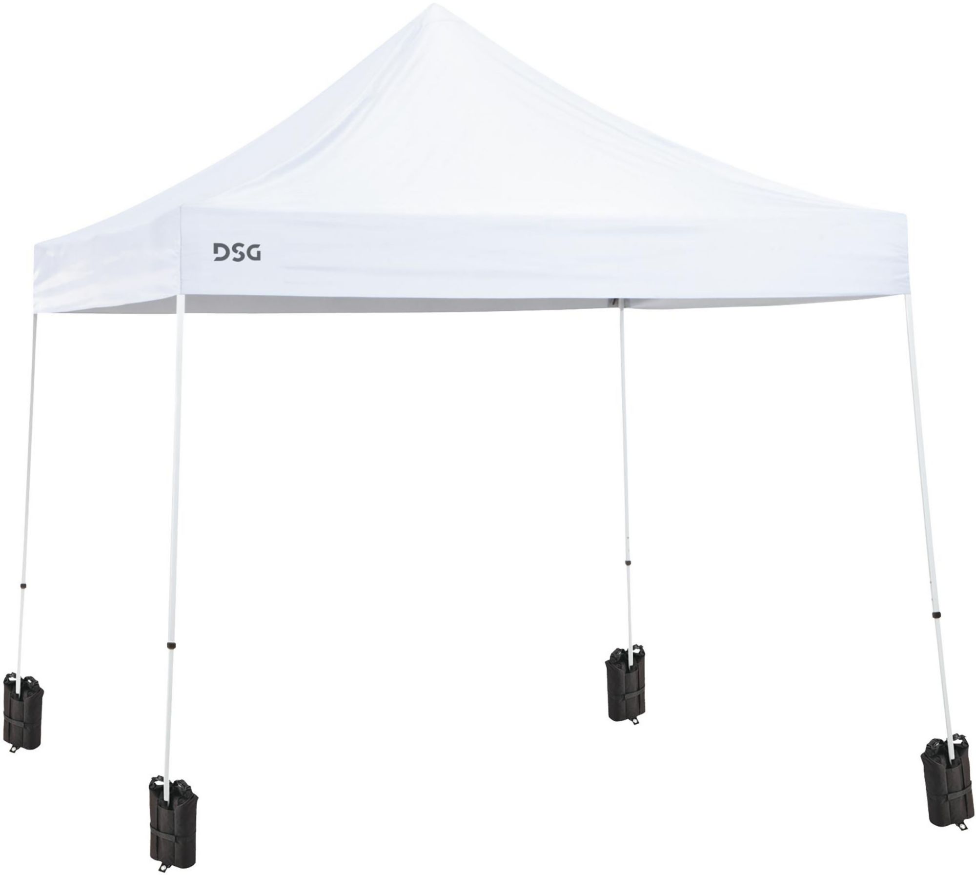 DSG Canopy Weight Bags product image