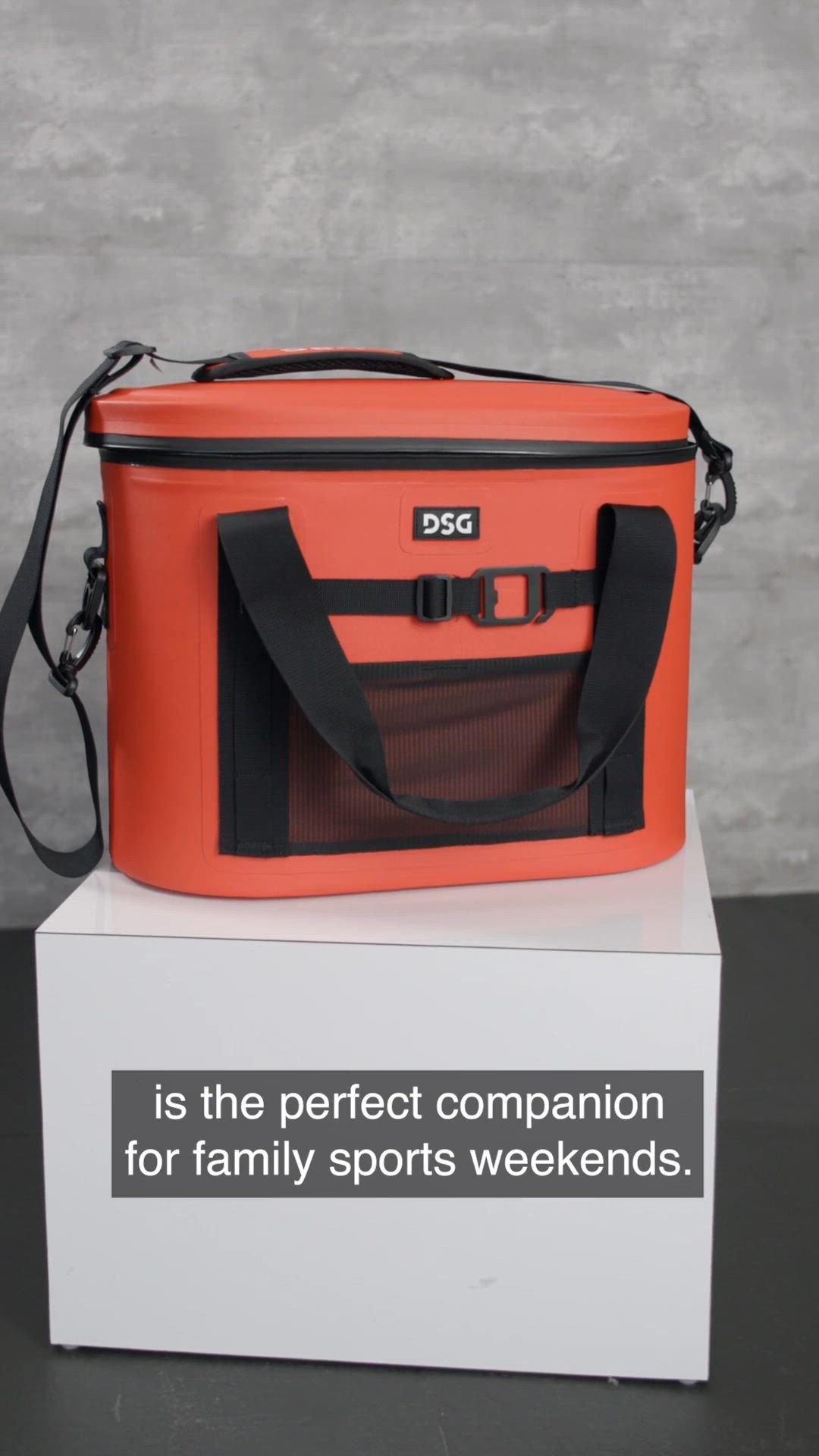 DSG Victory 30 Can Tote Cooler product