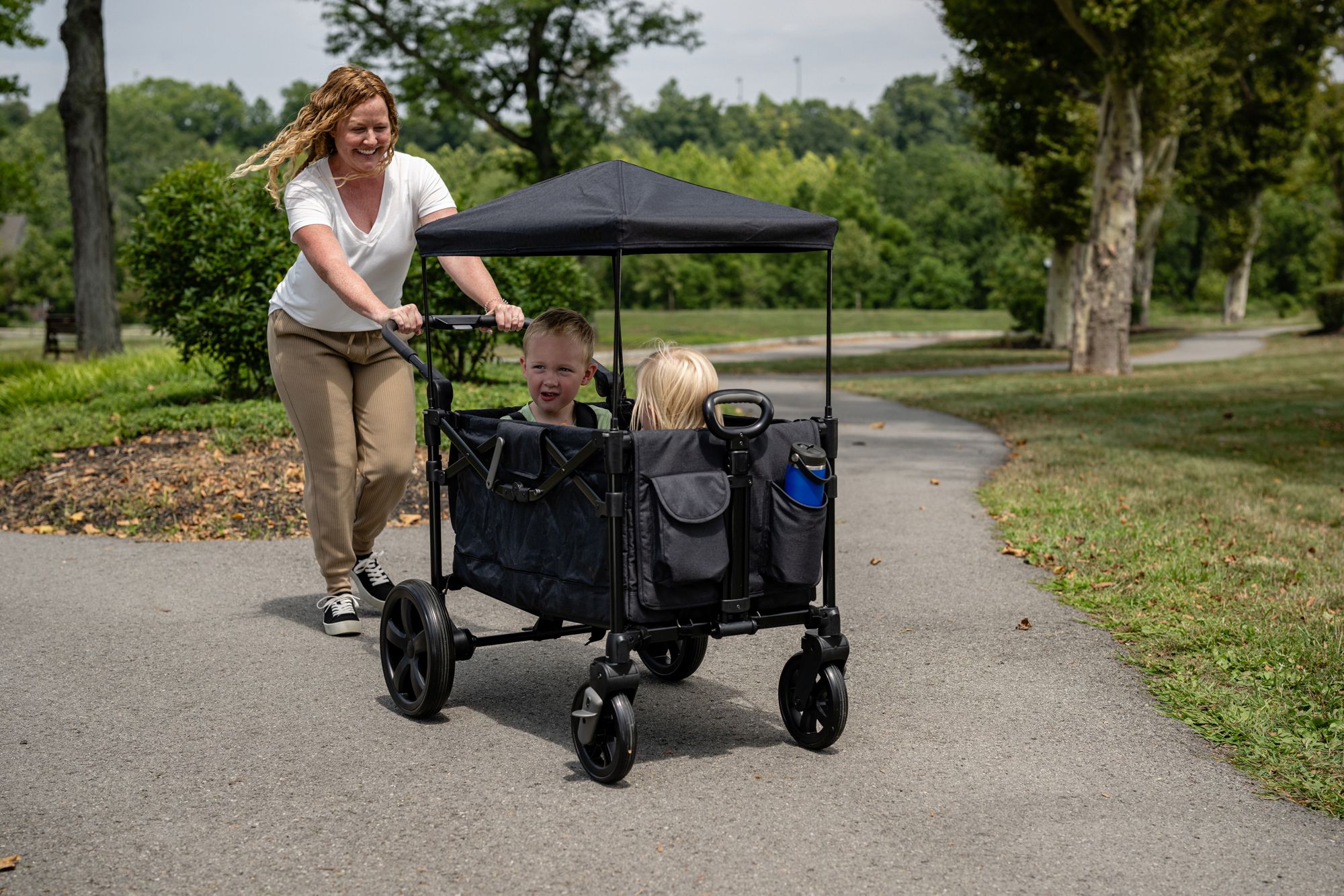 DSG Stroller Wagon product image