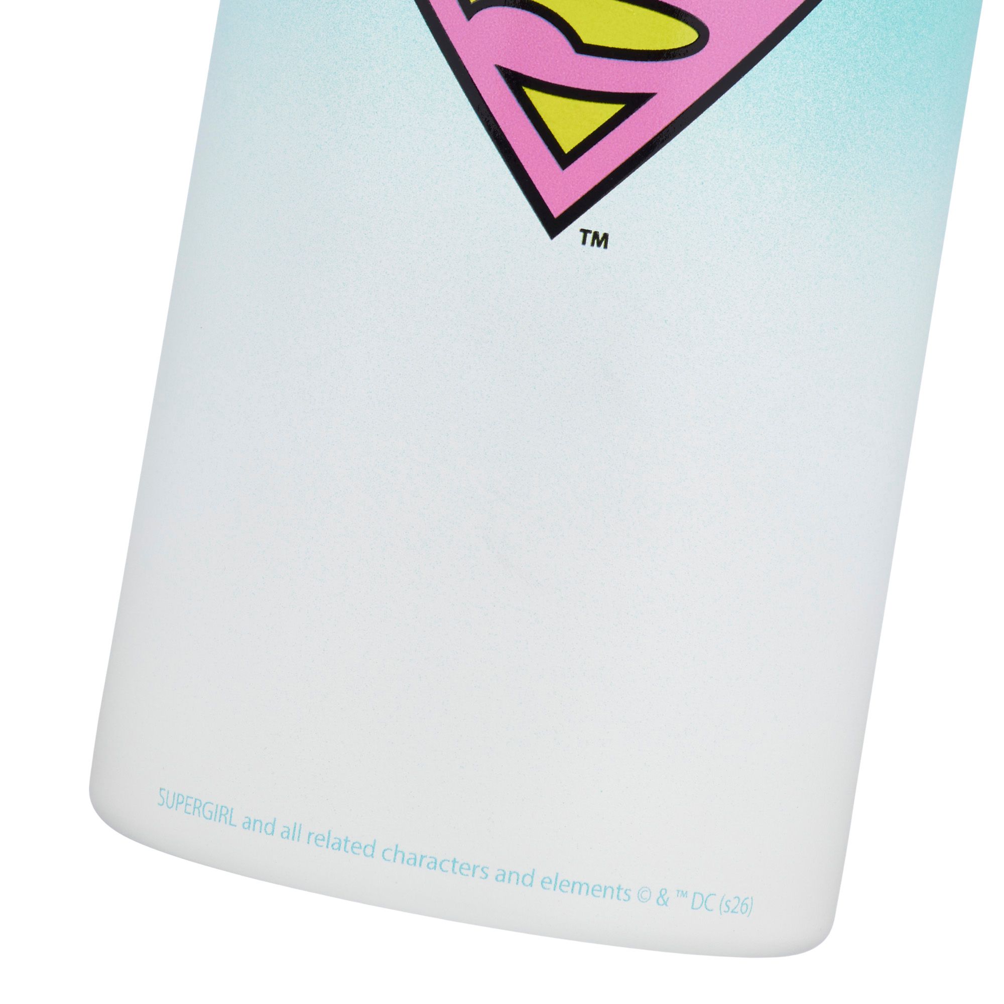 DC x DSG 17oz. Stainless Steel Bottle product image