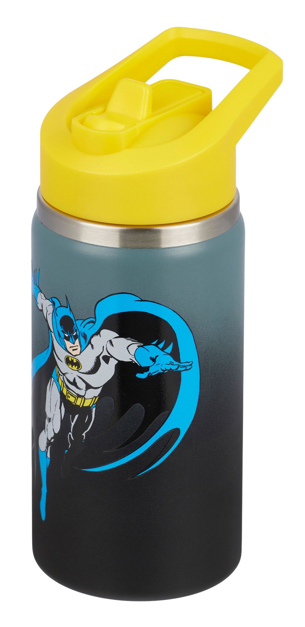 DC x DSG 12oz. Stainless Steel Bottle product image