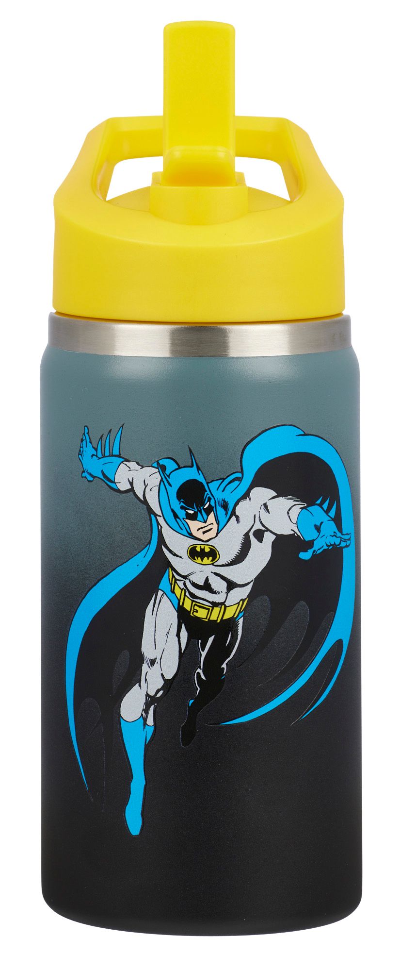 DC x DSG 12oz. Stainless Steel Bottle product image