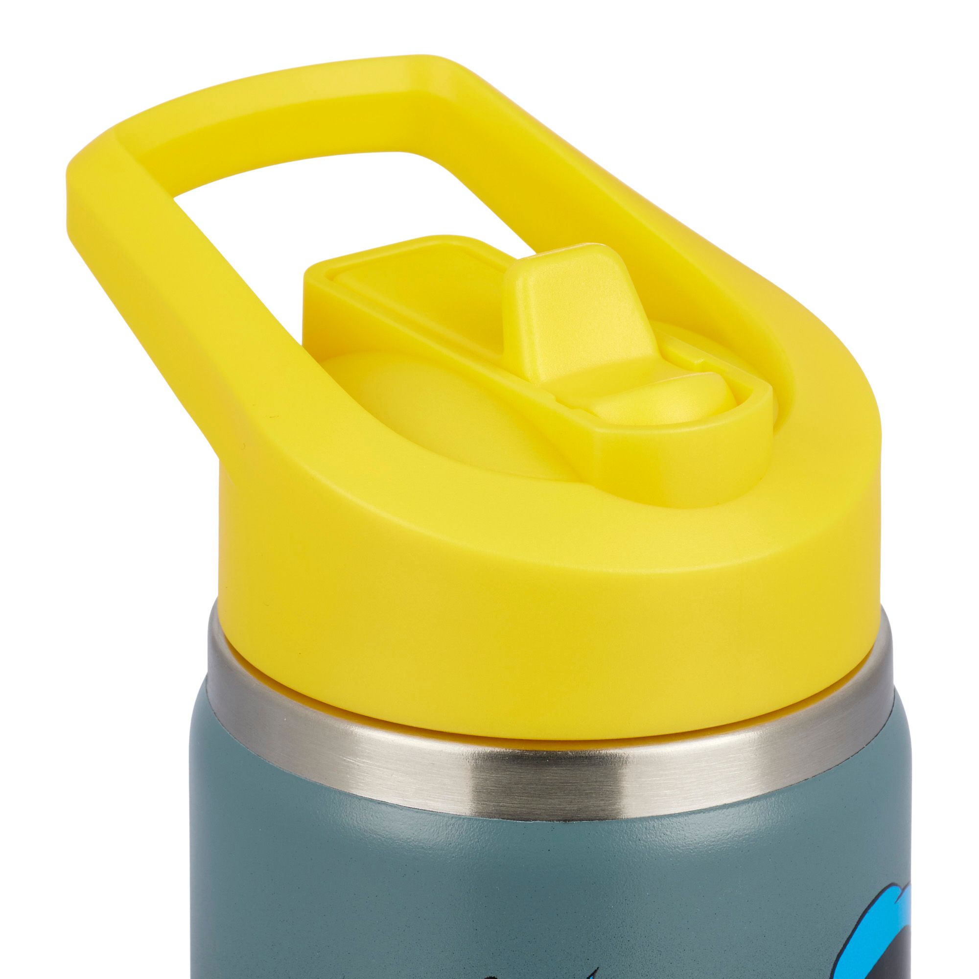 DC x DSG 12oz. Stainless Steel Bottle product image