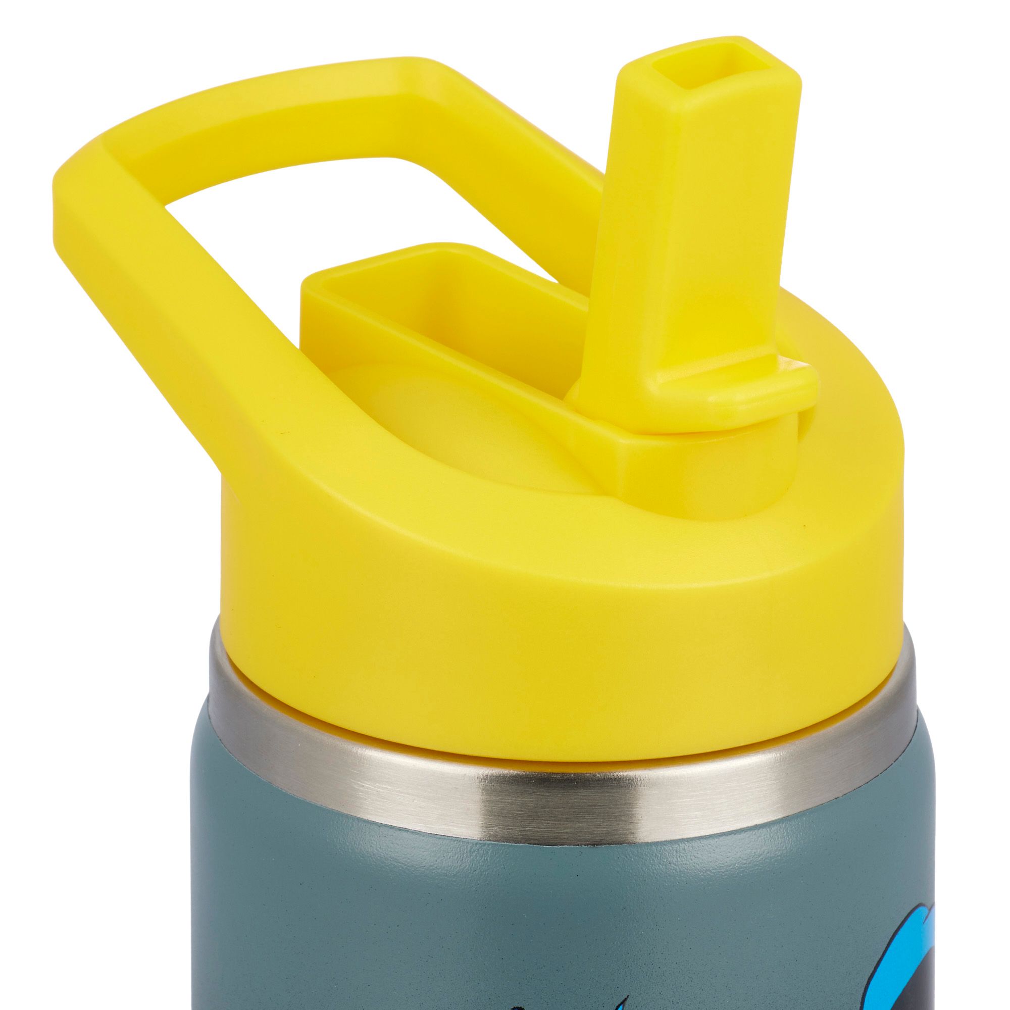 DC x DSG 12oz. Stainless Steel Bottle product image