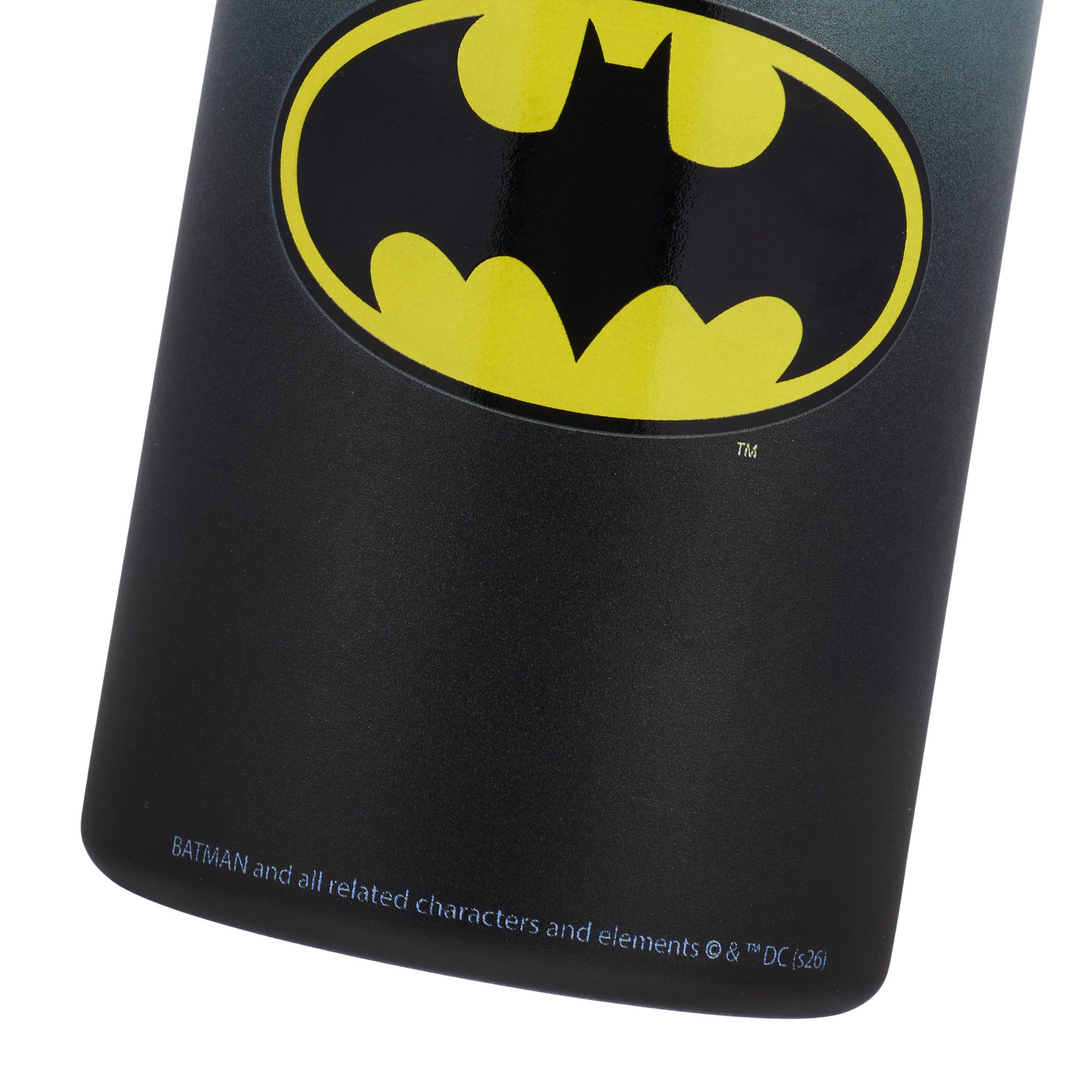 DC x DSG 12oz. Stainless Steel Bottle product image
