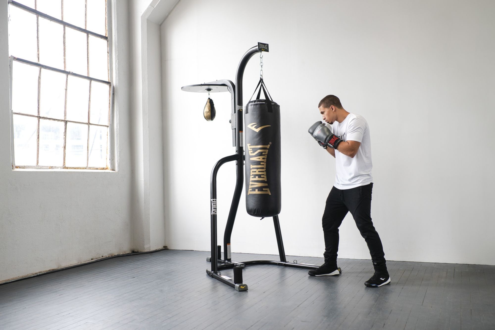 everlast powercore dual bag and stand