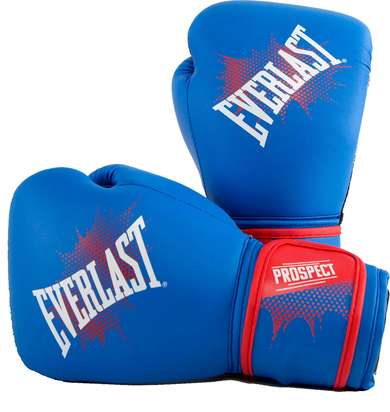 everlast youth prospect boxing training set