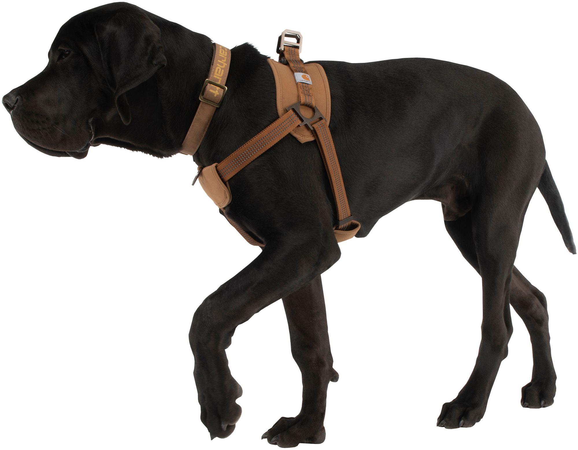 Carhartt Dog Training Harness