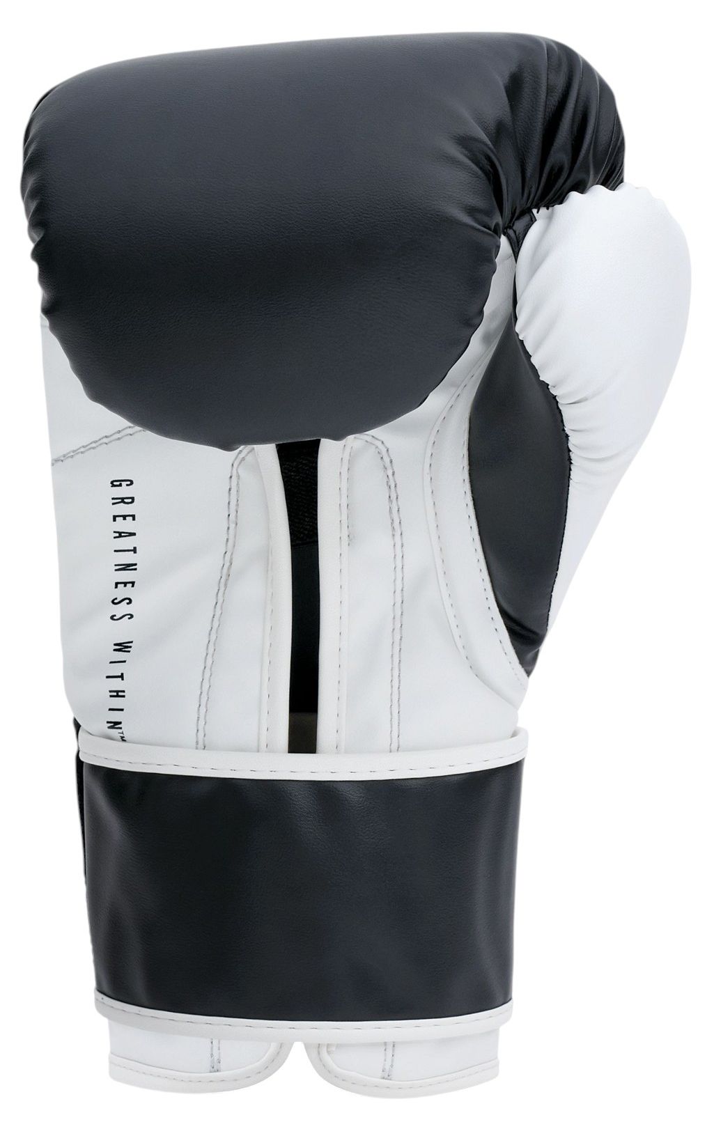 Everlast Powerlock OG Boxing Gloves | Dick's Sporting Goods