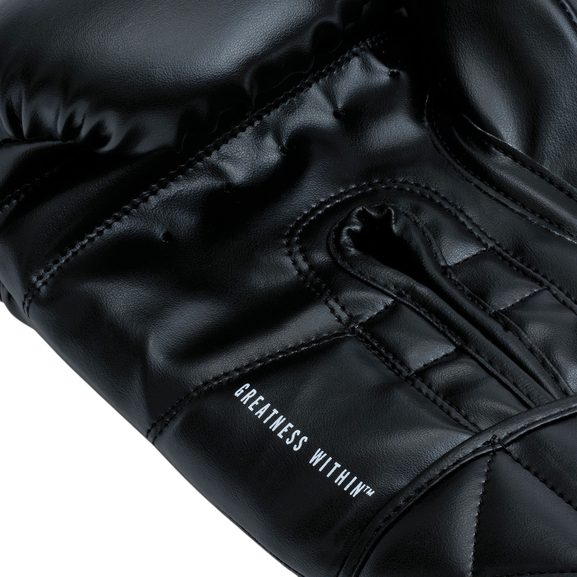 Everlast Classic Boxing Gloves product image