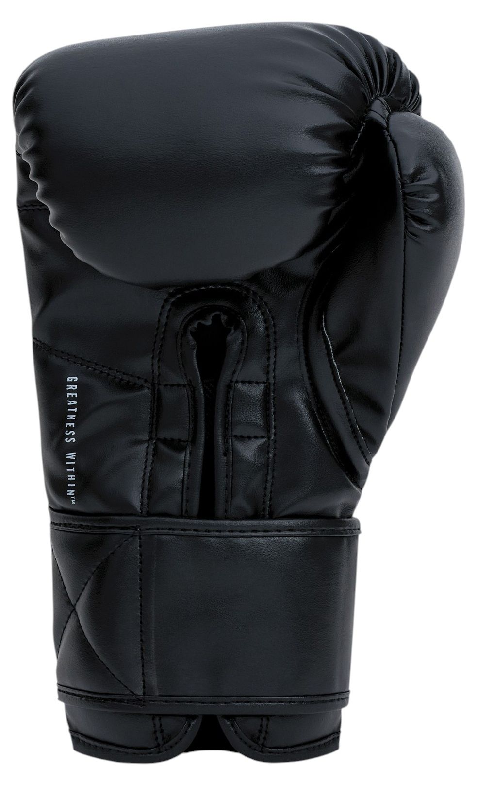 Everlast Classic Boxing Gloves product image