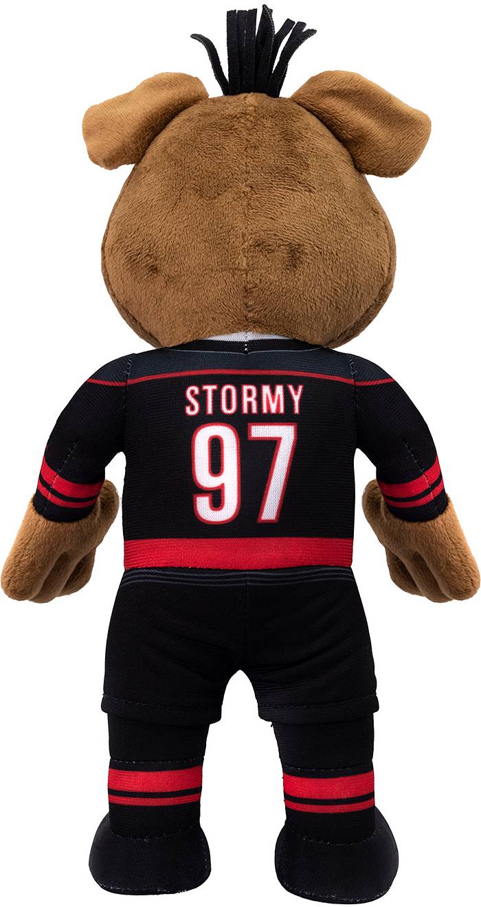Uncanny Brands 20 Carolina Hurricanes Stormy Mascot Plush Toy