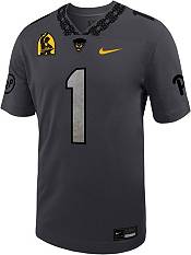 Nike Men's Pitt Panthers #1 Steel Grey Alternate Dri-FIT Game Football Jersey product image