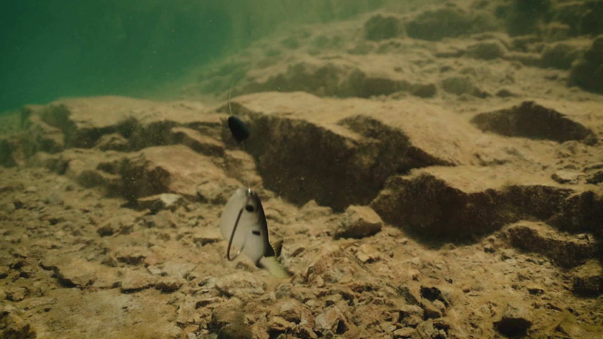 6th Sense Panorama Soft Bait product