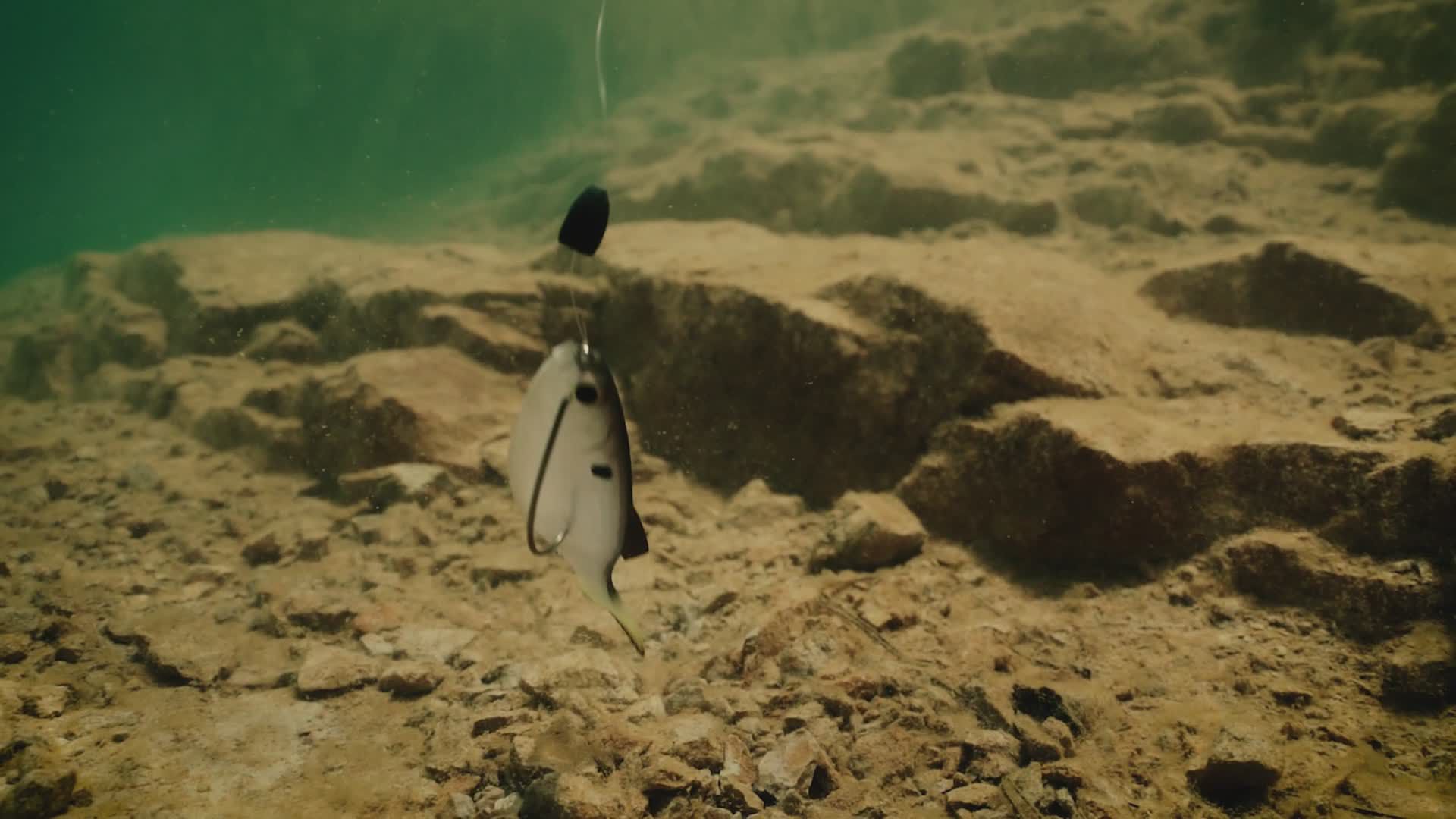 6th Sense Panorama Swimbait product