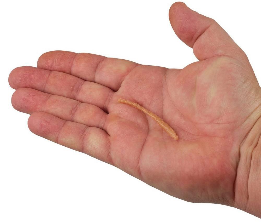 Berkley PowerBait Floating Trout Worm Soft Bait product image