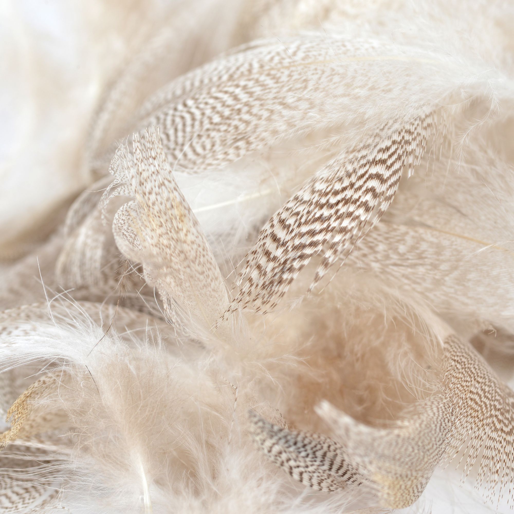 Perfect Hatch Mallard Flank Natural product image