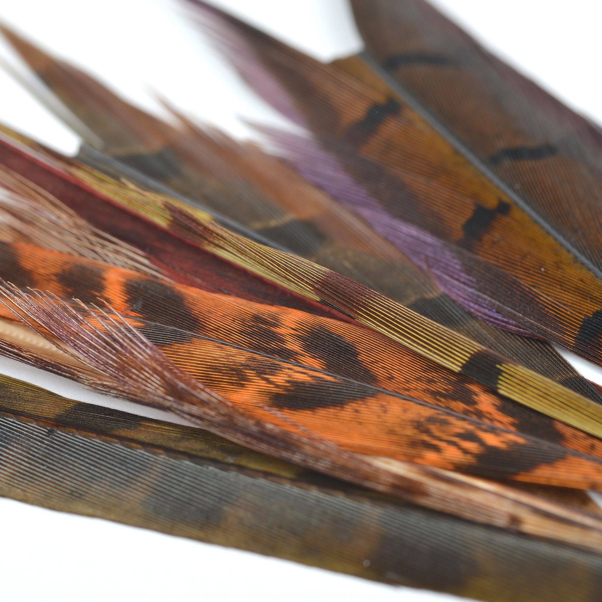 Perfect Hatch Ringneck Pheasant Tail product image